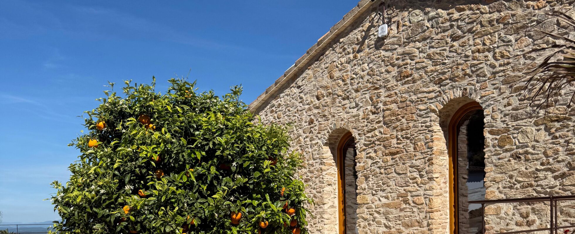 ventanas de madera natural